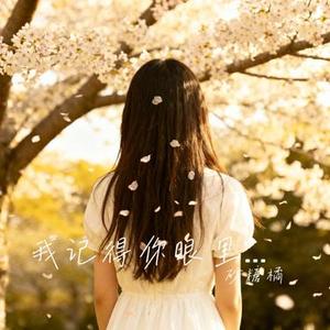 我记得你眼里的依恋