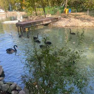 过去de残光的纯音乐38