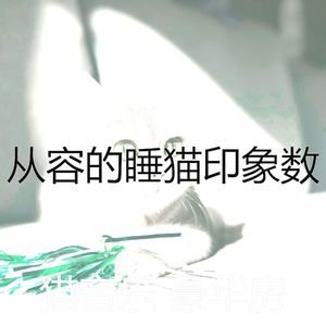 微妙的睡猫心情