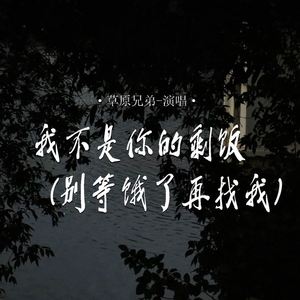 我不是你的剩饭 (别等饿了再找我)