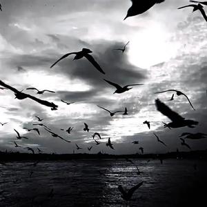 说真话freestyle.wav