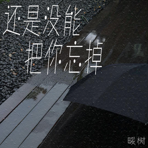 还是没能把你忘掉