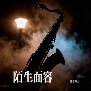 陌生面容