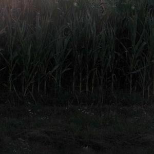 zgledaš k ena čivava (skit)