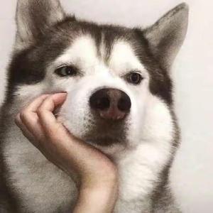 凤吟娇（老yu）