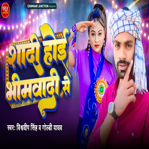 Shadi Hoi Bheemwadi Se