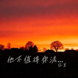 他不值得你流泪 (Cover 王佳音)