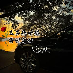 玉芬你听彪哥说句话