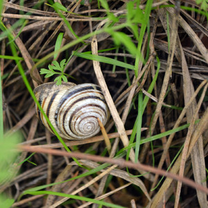 Another Dimension (Original Mix)