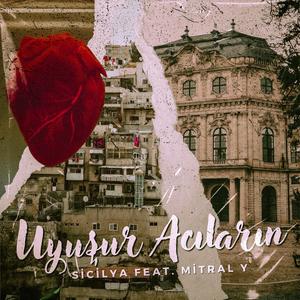 Uyuşur Acıların (feat. Mitral Y)
