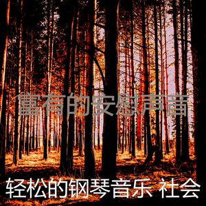 柔和的安慰时刻