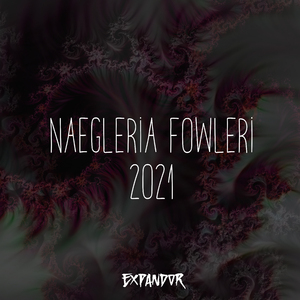Naegleria Fowleri 2021