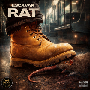 Rat