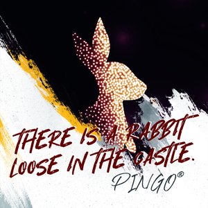 There is a Rabbit Loose in the Castle