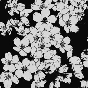 无尽美丽的事物（cover昨夜派对）