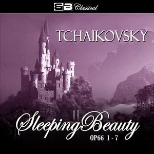 The Sleeping Beauty Ballet, Op. 66: Act 1: The Spell: Valse