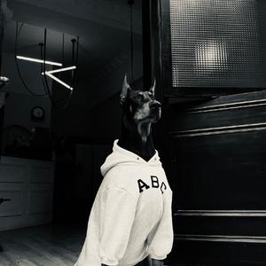 张韶涵-有形的翅膀（抖音爆红DJ）