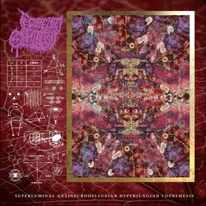 Panzerschreck Colonoscopy Abortion