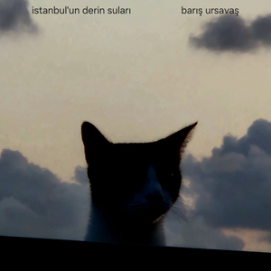 İstanbul'un Derin Suları