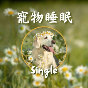 寵物睡眠: Single