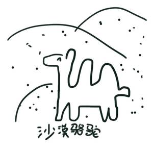 沙漠骆驼