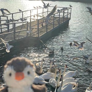 美丽的神话（吉他版）