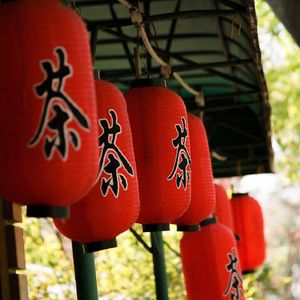 谈笑品茶三 (古琴鸟声)