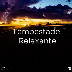 호우 잠