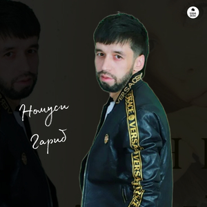 Номуси Гариб