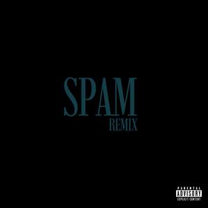 Spam.rmx