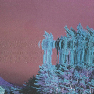 Buried with Drifting Snow