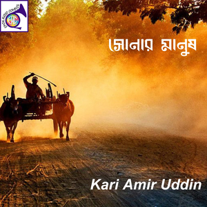 একজন সোনার মানুষ