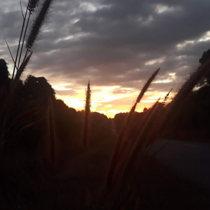 Chuyện Tình Kết Thúc