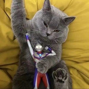 飘向北方《翻唱》