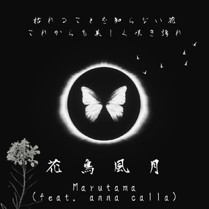花鳥風月 (feat. anna calla)