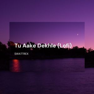 Tu Aake Dekhle (Lofi)