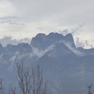 心跳共振时刻表