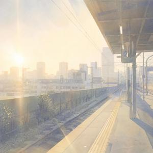 次の夏まで覚えていて