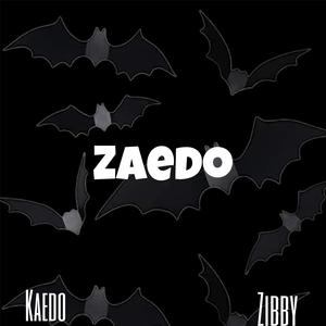 20 mins (Zibby Solo)