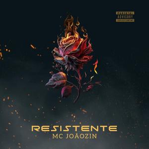 MC Joãozin - Resistente