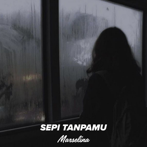 Sepi Tanpamu