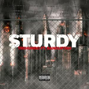 Sturdy (feat. Banduptah)