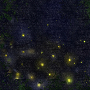 반딧불이 보호구역