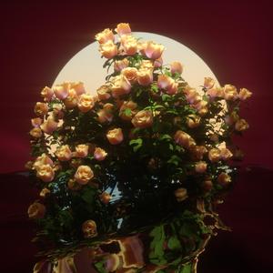 反光梦境（feat.Demxntia）