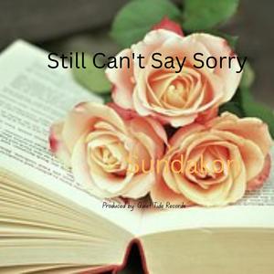 Still Can't Say Sorry