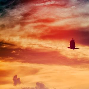 Out of Grace (Remix)