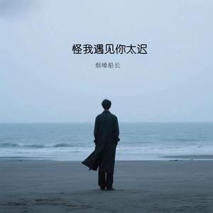 怪我遇见你太迟