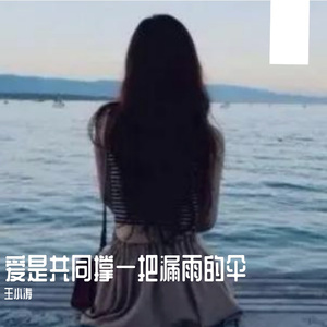 爱是共同撑一把漏雨的伞