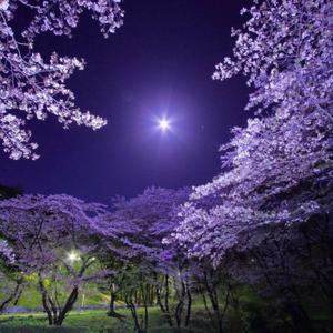 Can i get to know you?