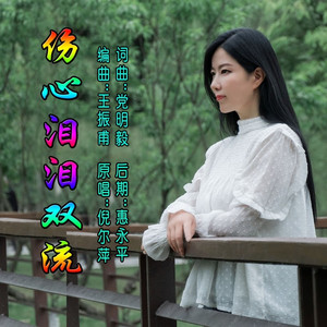 伤心泪泪双流 (伴奏)